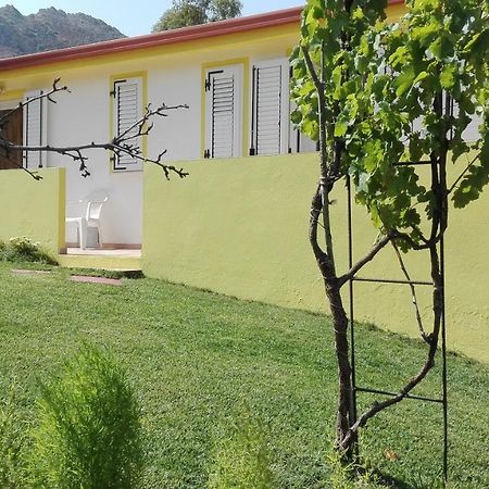 Il Girasole Alloggio فلومينيماجيوري المظهر الخارجي الصورة