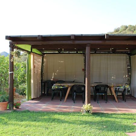 Il Girasole Alloggio فلومينيماجيوري المظهر الخارجي الصورة